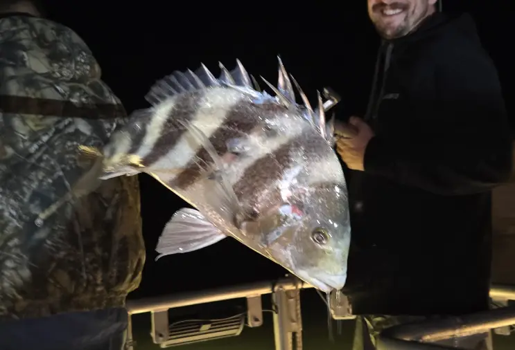 Flounder Gigging Guides