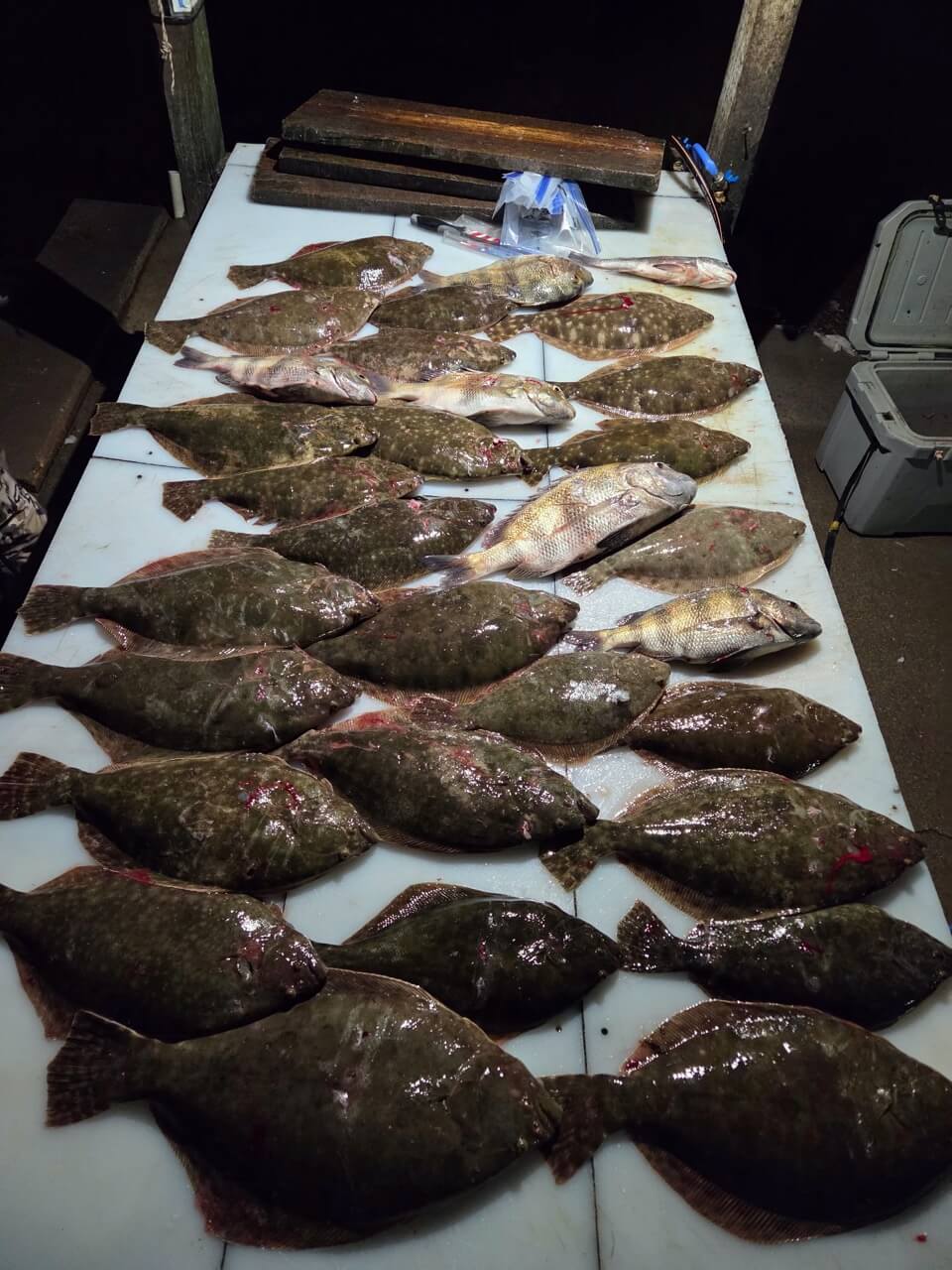 Family  Fishing Trips