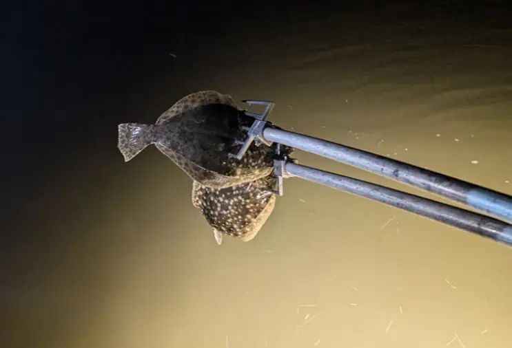 Family  Fishing Trips